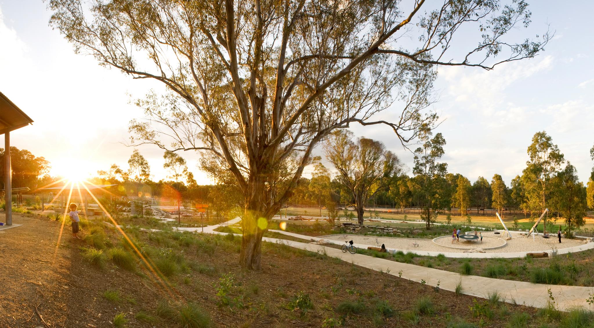 Lizard Log voted NSW best playground