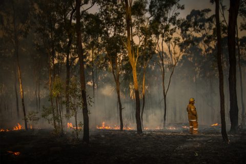 A firefighter in yellow protective gear stands in a forest with charred ground and small flames. The area is filled with smoke, creating a hazy background and highlighting the firefighter's silhouette amidst scorched trees, reminding us of the constant forest fire risk.