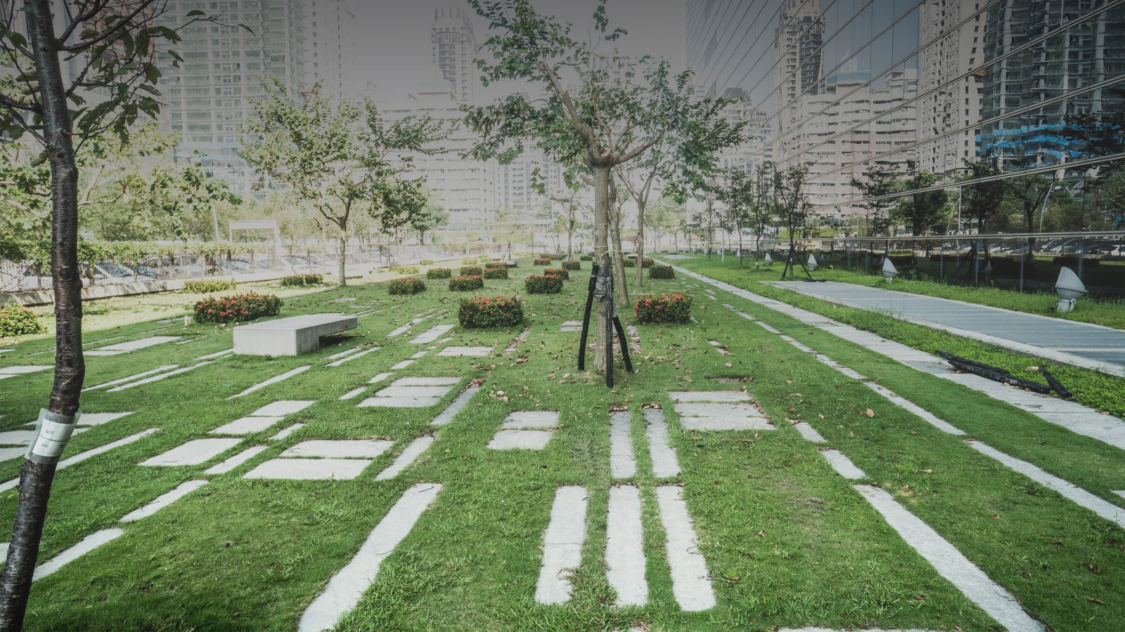 A modern park in Taichung with neatly manicured grass features geometric stone pathways and several trees. Buildings with mirrored glass facades are visible in the background, reflecting the greenery. Some areas of the park include benches and flower beds, part of Stage 1 of a government initiative.