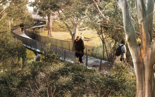 A winding elevated walkway weaves through a dense forest filled with tall trees and lush green foliage. Several people are walking along the pathway, enjoying the natural surroundings and scenic views in this serene sanctuary. The atmosphere looks tranquil and inviting.