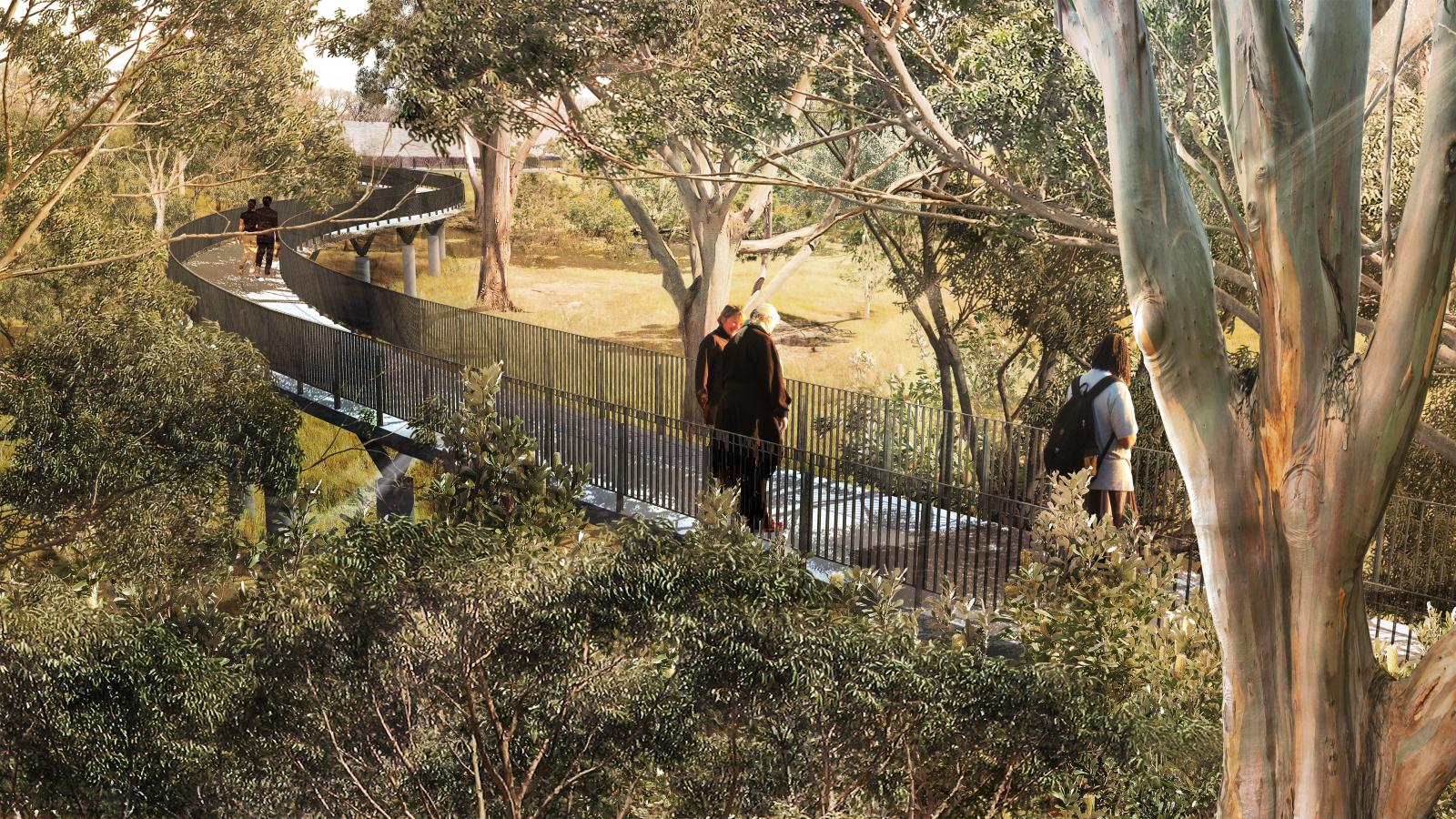 A winding elevated walkway weaves through a dense forest filled with tall trees and lush green foliage. Several people are walking along the pathway, enjoying the natural surroundings and scenic views in this serene sanctuary. The atmosphere looks tranquil and inviting.