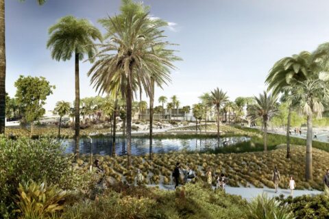 Akoya Park features tall palm trees, a serene pond, and green grassy areas. People stroll along winding paths and relax near the water. The backdrop showcases a mix of greenery and modern buildings under a clear, bright sky.