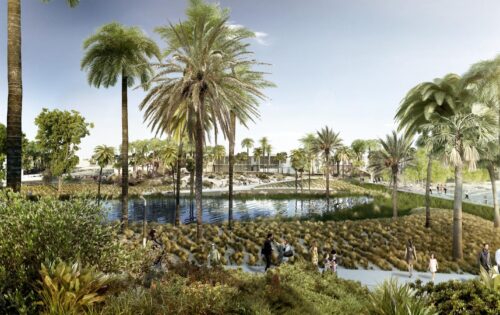 Akoya Park features tall palm trees, a serene pond, and green grassy areas. People stroll along winding paths and relax near the water. The backdrop showcases a mix of greenery and modern buildings under a clear, bright sky.