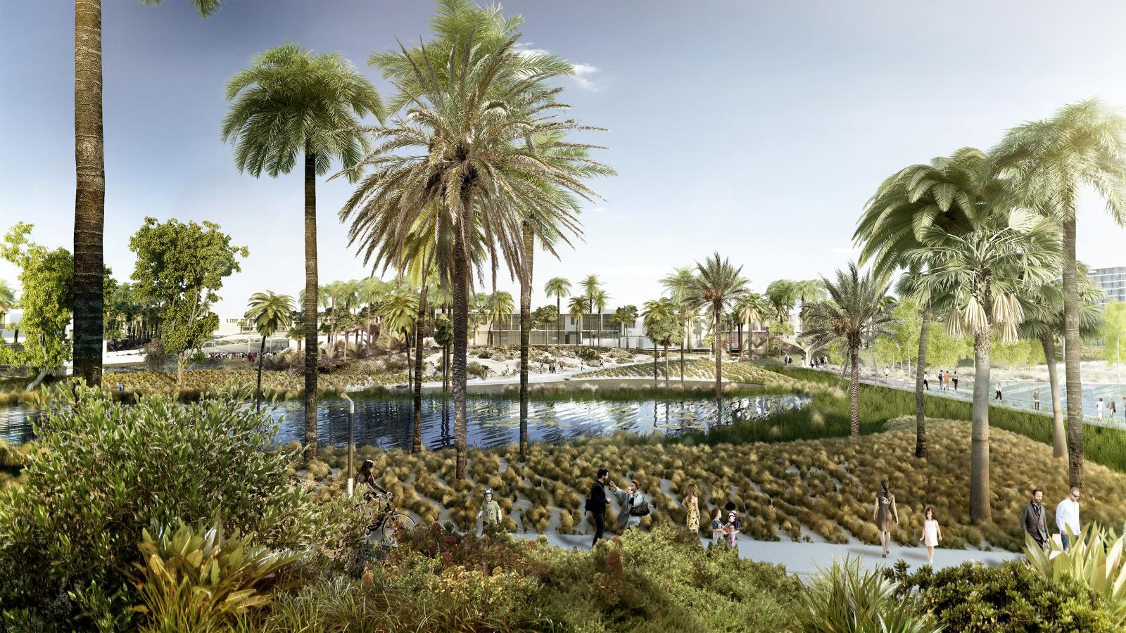 Akoya Park features tall palm trees, a serene pond, and green grassy areas. People stroll along winding paths and relax near the water. The backdrop showcases a mix of greenery and modern buildings under a clear, bright sky.