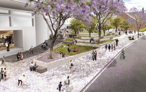 A vibrant urban park in Parramatta features people walking, sitting, and socializing amidst blooming jacaranda trees with purple flowers. The park has tiered seating, grassy areas, and a nearby café. The adjacent street near Arthur Phillip School is busy with pedestrians and cyclists.