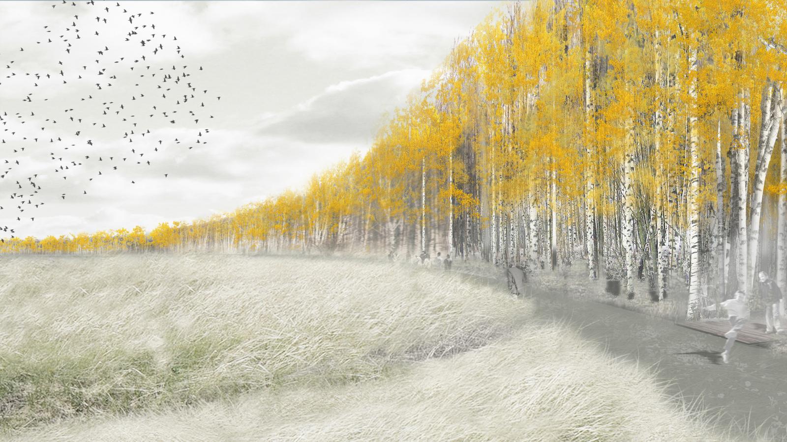 A serene landscape at Tempelhof features a field of pale grass transitioning into a forest of tall trees with yellow autumn leaves. A path winds through the forest on the right with a few people walking, while a flock of birds flies in the cloudy Berlin sky above.