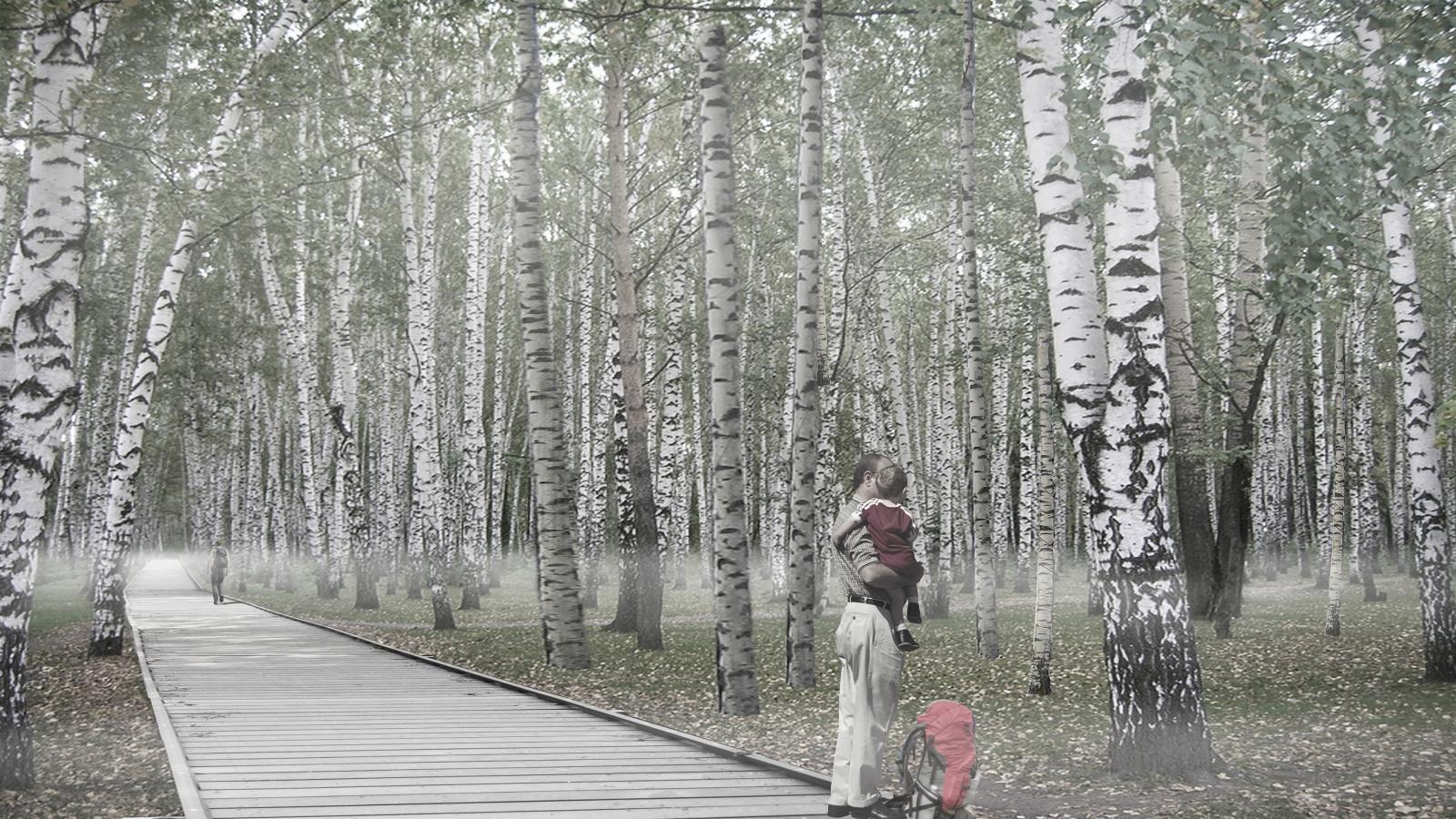 A person carrying a child on their shoulders walks along a wooden path in a misty birch forest near Berlin Tempelhof. The surrounding trees have white bark with black markings, and fallen leaves cover the ground, creating an ethereal atmosphere. A red backpack is visible on the ground.