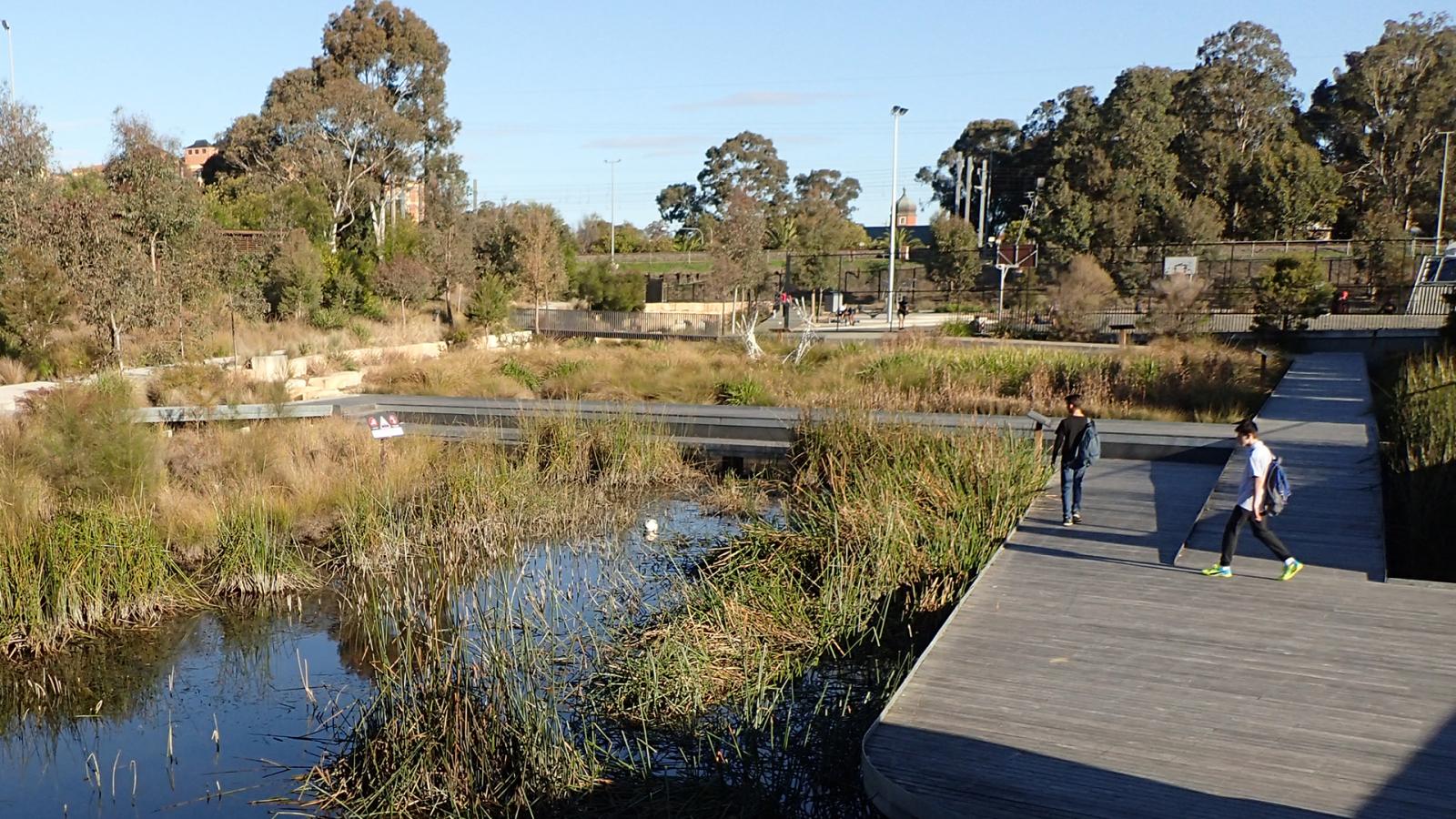 A scenic outdoor space in Blacktown features a wooden boardwalk winding through wetland vegetation. Two people stroll along the path, enjoying the natural surroundings. This event venue is surrounded by trees and bushes, with clear skies above on a sunny day.