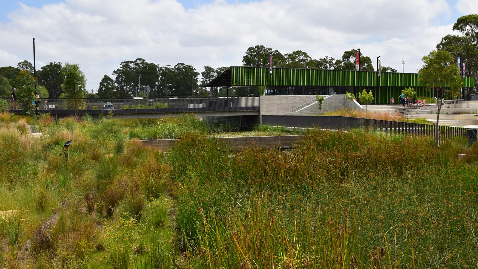 A landscape featuring a wetland area with tall grasses in the foreground. In the background, there is a modern building with green vertical stripes and an elevated walkway with railings at Blacktown Showground. People can be seen walking near the building. Trees and a partly cloudy sky are visible.