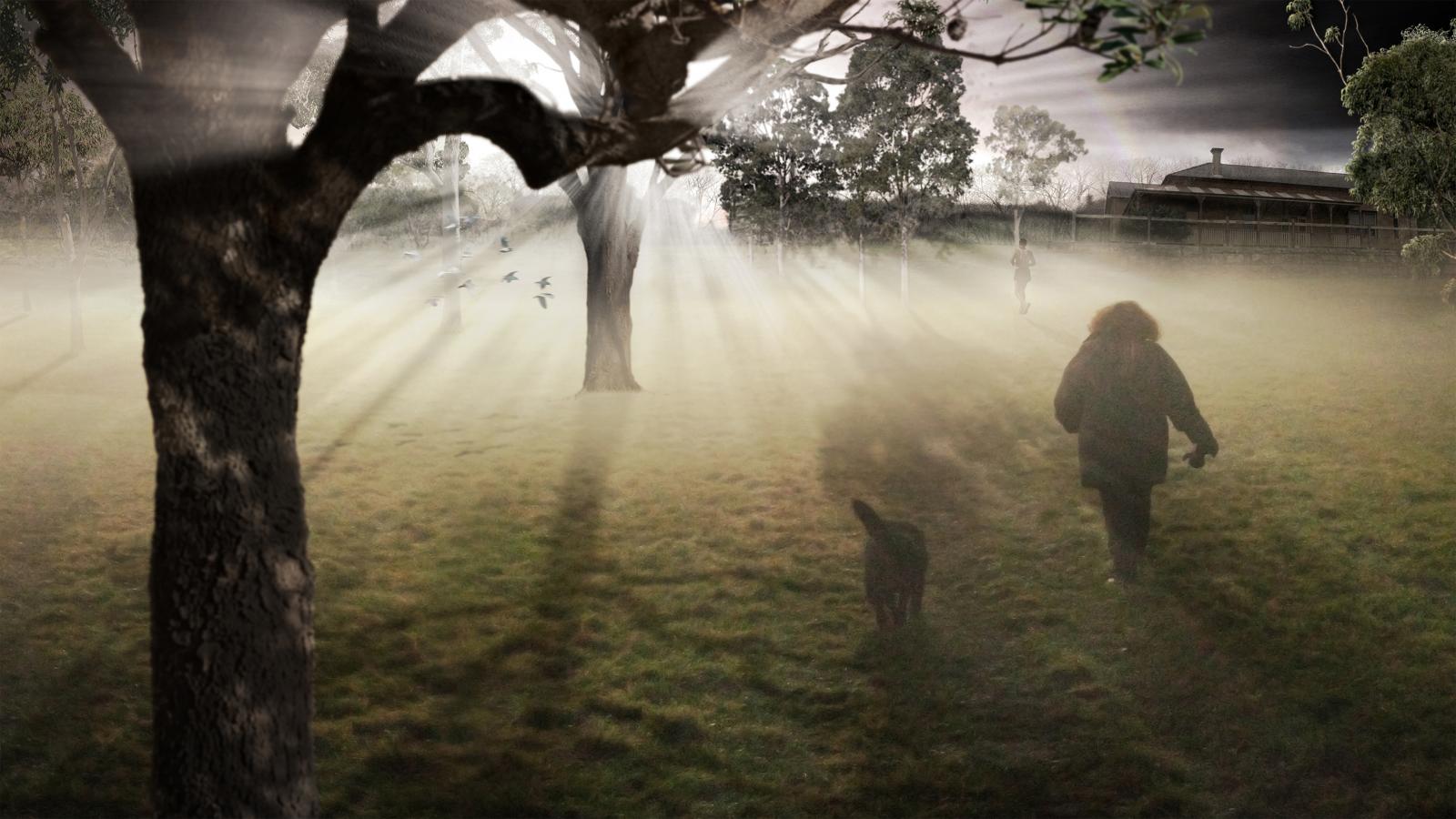 A person with long hair walks a dog on a leash in Callan Park during sunset. Sunrays filter through the branches, casting a mystical glow on the scene. Birds are seen flying in the background, adding to the serene atmosphere envisioned in its Master Plan.