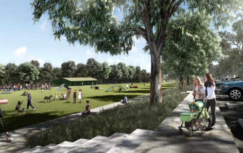 A park scene with people and dogs enjoying a grassy area at Castle Hill. Some are playing, while others relax on benches or walk along paved paths. Trees, steps, parked cars, and a green building are also visible. A woman pushes a stroller and another woman stands beside her at the showground.