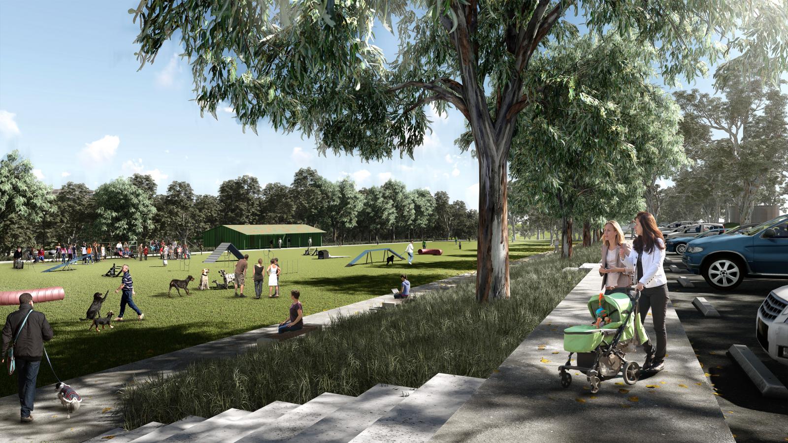 A park scene with people and dogs enjoying a grassy area at Castle Hill. Some are playing, while others relax on benches or walk along paved paths. Trees, steps, parked cars, and a green building are also visible. A woman pushes a stroller and another woman stands beside her at the showground.