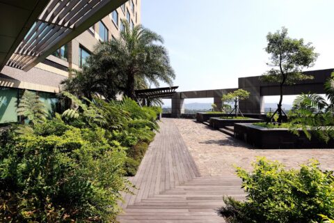 A sunny day brightens a pedestrian pathway flanked by lush greenery and modern architecture near Chang Gung Hospital. Palm trees and shrubs line the wooden and stone walkway, which features shaded seating areas under geometric structures, with a distant view of mountains and sky visible.