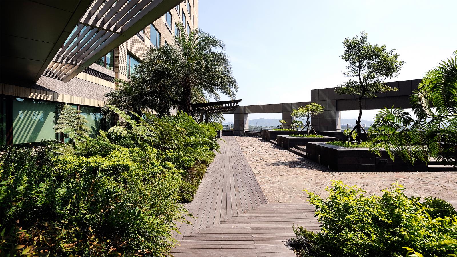 A sunny day brightens a pedestrian pathway flanked by lush greenery and modern architecture near Chang Gung Hospital. Palm trees and shrubs line the wooden and stone walkway, which features shaded seating areas under geometric structures, with a distant view of mountains and sky visible.