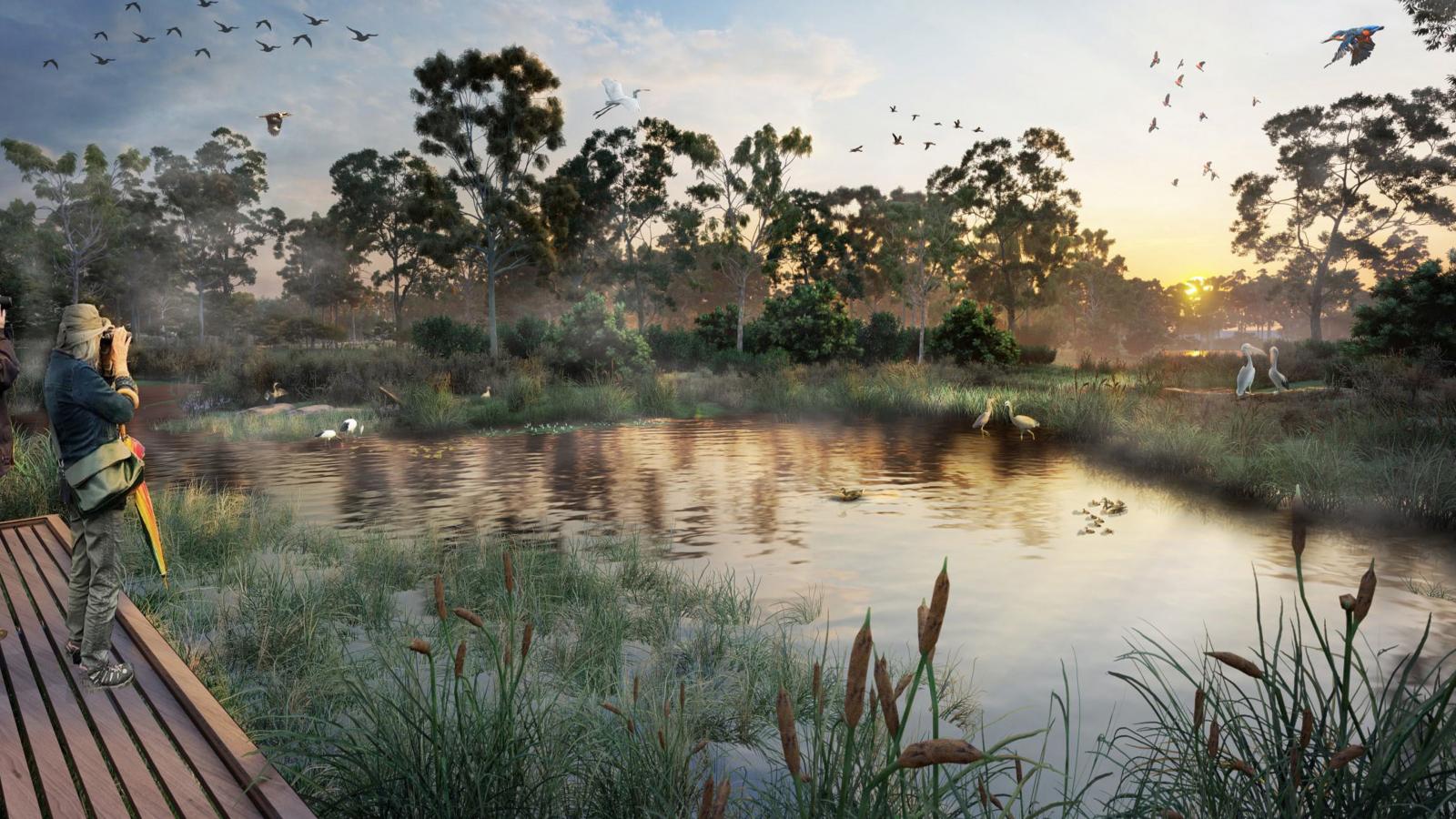 A person with binoculars stands on a wooden platform in Elsternwick Park, observing a nature scene with tall grasses and a calm pond surrounded by trees. Numerous birds fly in the sky and perch around the pond. The sun sets in the background, casting a warm light over the nature reserve.