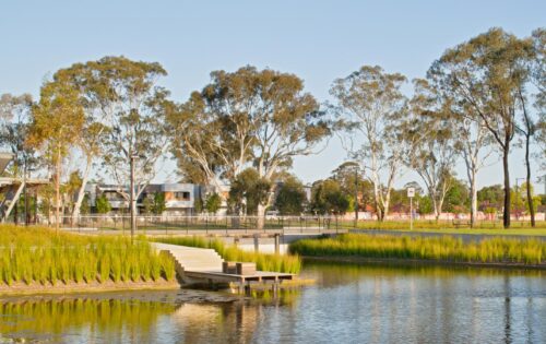 A serene park scene in Fairwater features a wooden boardwalk extending over a calm pond, surrounded by tall grasses. In the background, tall trees and modern buildings are visible under a clear blue sky, creating a perfect getaway for the close-knit community.