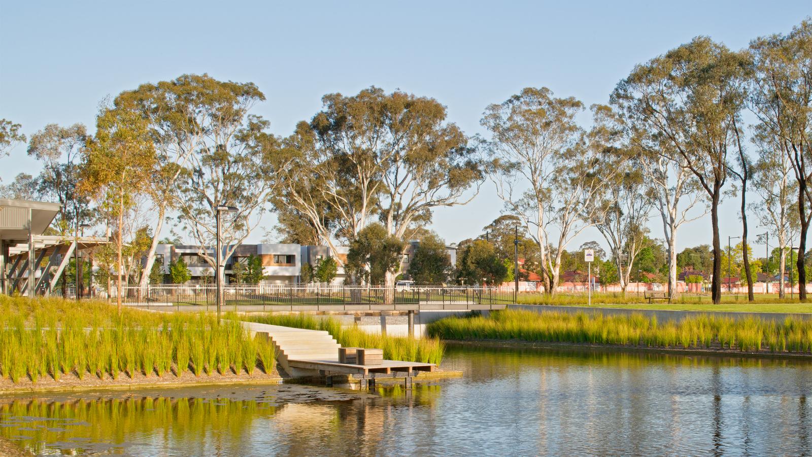 A serene park scene in Fairwater features a wooden boardwalk extending over a calm pond, surrounded by tall grasses. In the background, tall trees and modern buildings are visible under a clear blue sky, creating a perfect getaway for the close-knit community.