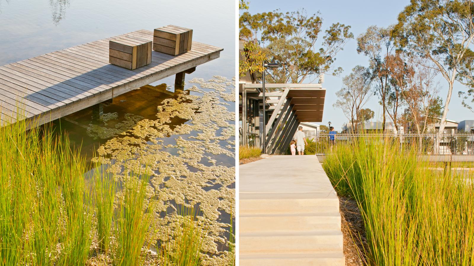 A split image shows two outdoor scenes: on the left, a wooden dock with two cube-shaped stools extends over a calm, algae-covered pond in Fairwater; on the right, a modern building with large windows is surrounded by tall grasses and manicured pathways in Community Park under a clear sky.