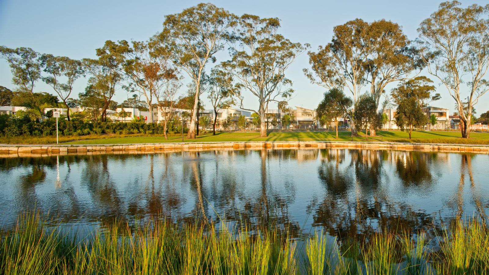 Fairwater Community Park is a serene lakeside haven with tall trees mirrored in the calm water. Grassy areas and reeds surround the lake, and a row of modern houses and bushes can be seen in the background under a clear blue sky.