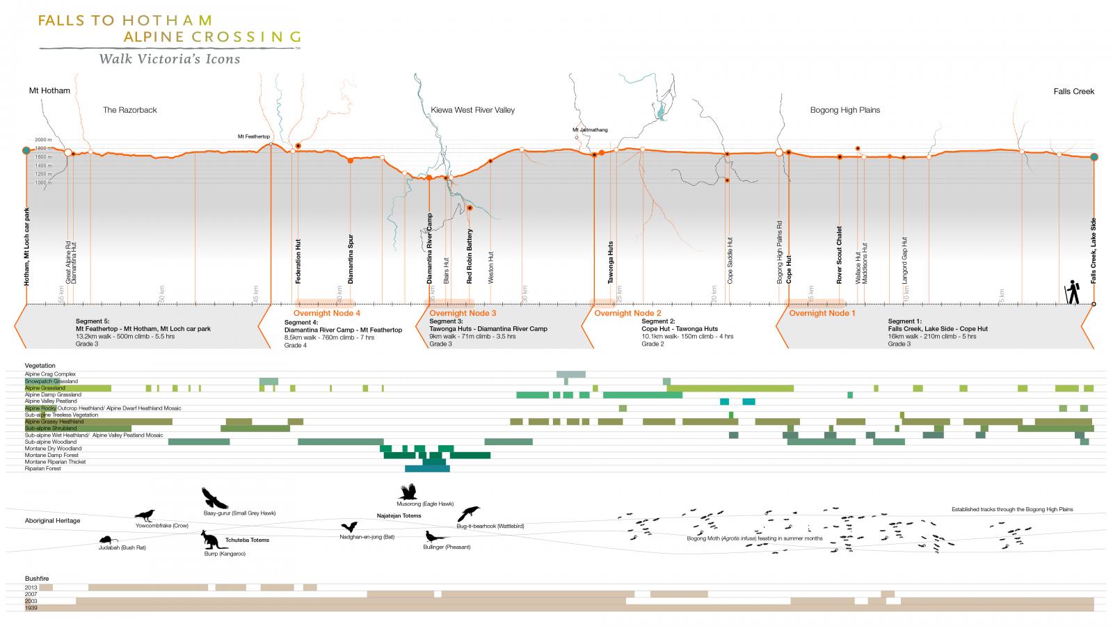 Infographic titled "Falls to Hotham Alpine Crossing - Walk Victoria's Icons." It features a detailed elevation profile, routes, and camp spots. The bottom includes timelines for vegetation types, animal habitats, birds, heritage, ecological concerns, and scenic points along the Alpine Crossing.