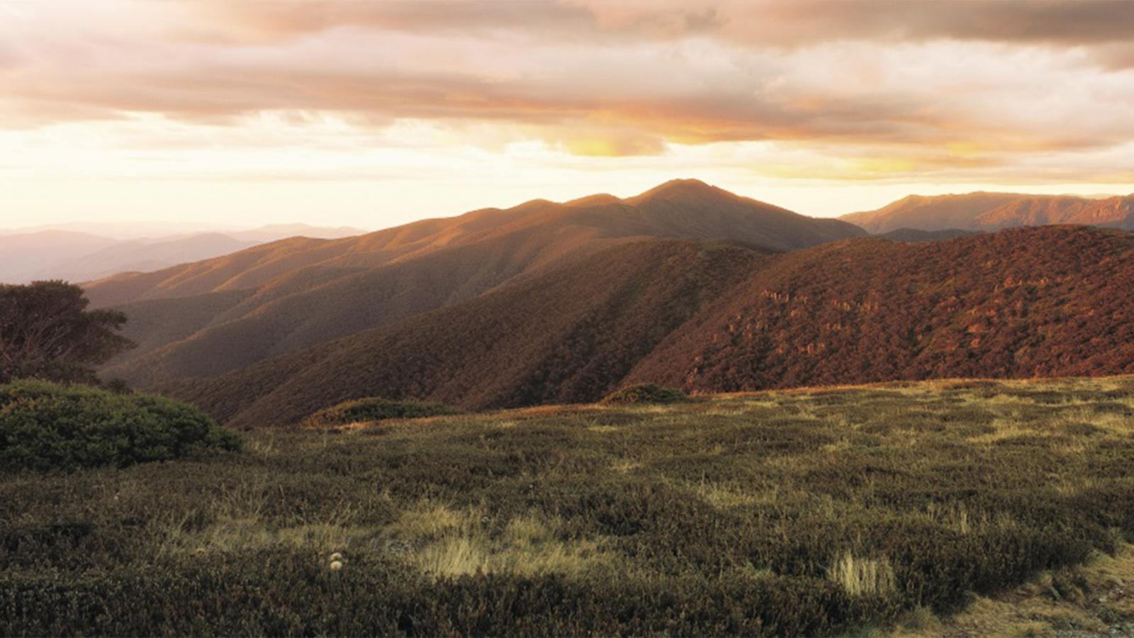 A panoramic view of a mountainous landscape at sunset. The rolling hills, part of the renowned Alpine Crossing, are bathed in warm golden light, with layers of mountains fading into the distance. The foreground features grasslands with scattered bushes. The sky is painted in soft hues of orange and pink.