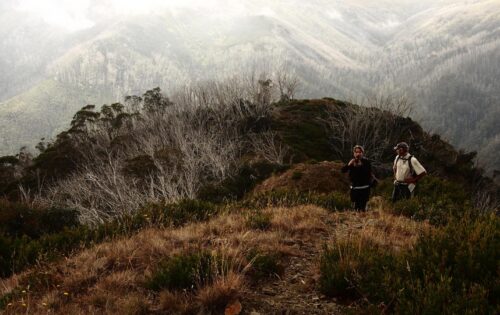 Two hikers stand on a rugged, narrow mountain trail surrounded by dense bushes. One hiker is taking a photo while the other looks on. Mist shrouds the distant forested mountains of Falls to Hotham, creating a serene and adventurous atmosphere of an epic Alpine Crossing.