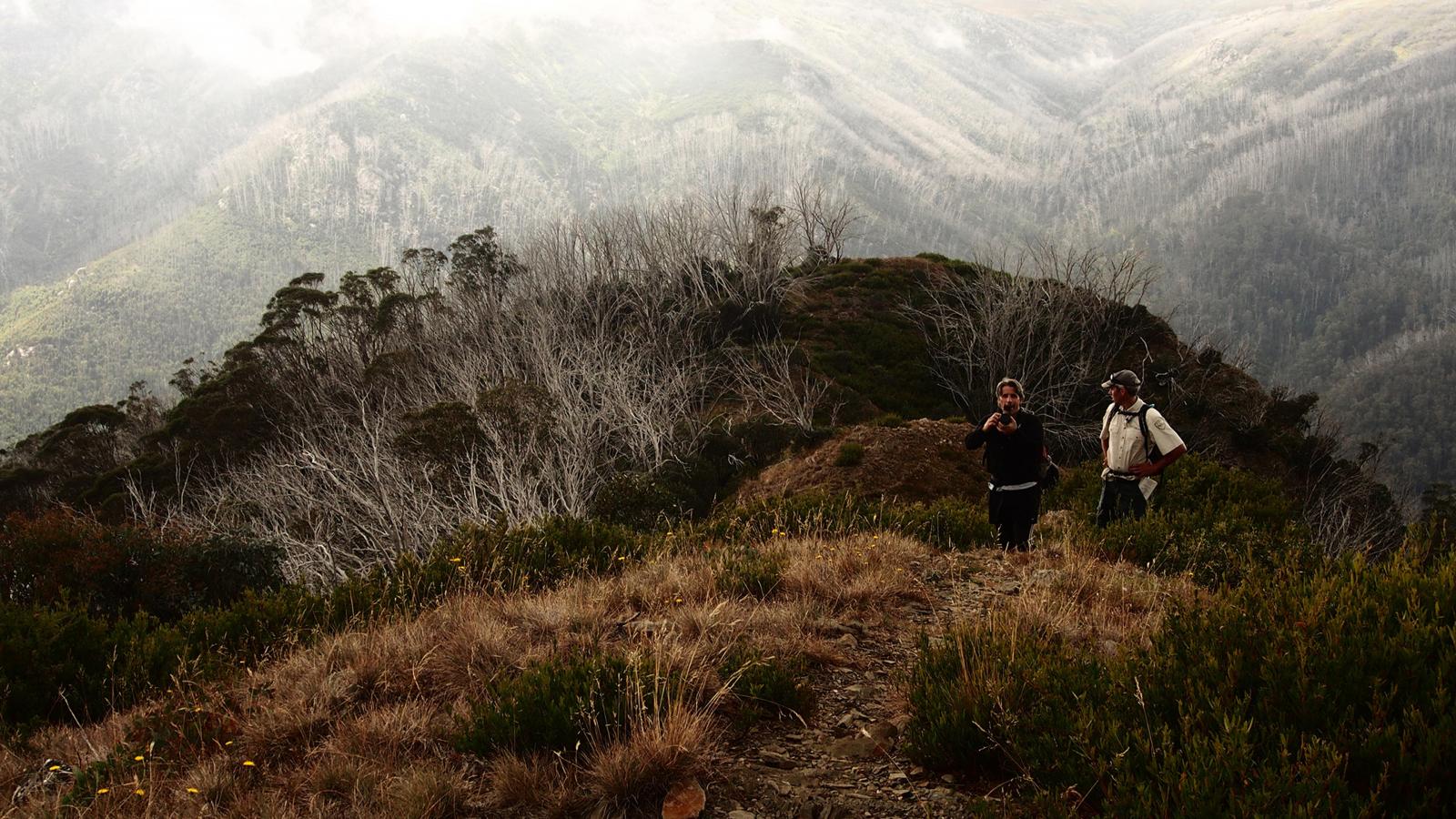 Two hikers stand on a rugged, narrow mountain trail surrounded by dense bushes. One hiker is taking a photo while the other looks on. Mist shrouds the distant forested mountains of Falls to Hotham, creating a serene and adventurous atmosphere of an epic Alpine Crossing.