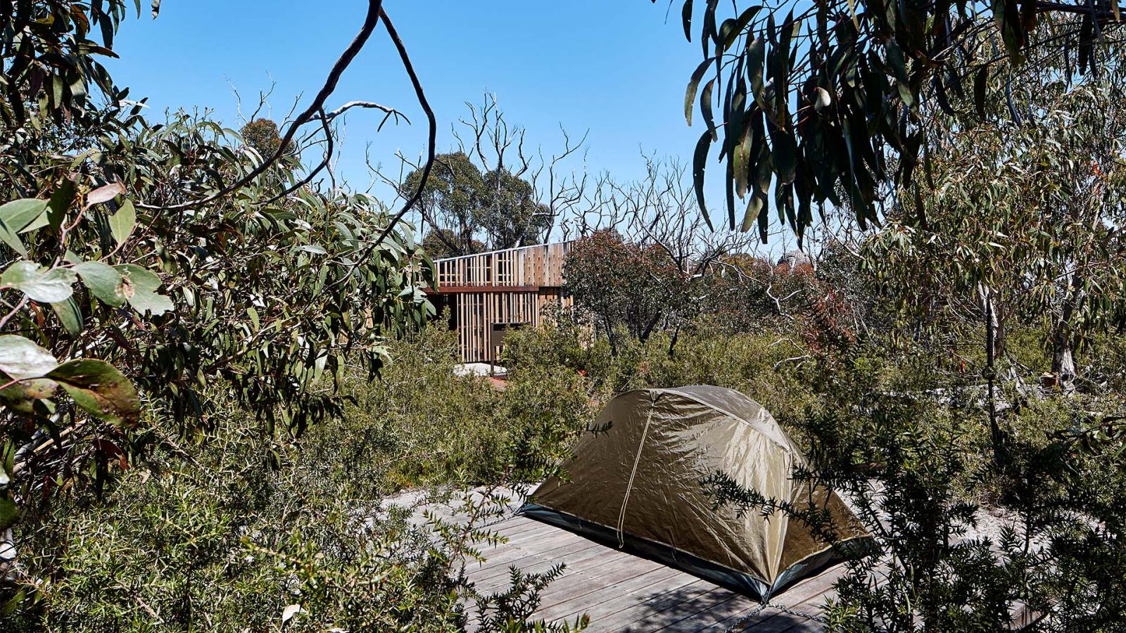 A tan camping tent is set up on a wooden platform surrounded by dense trees and shrubs in Gariwerd. In the background, there is a wooden structure elevated on stilts with railings, blending into the natural environment under a clear blue sky along the Grampians Peaks Trail.