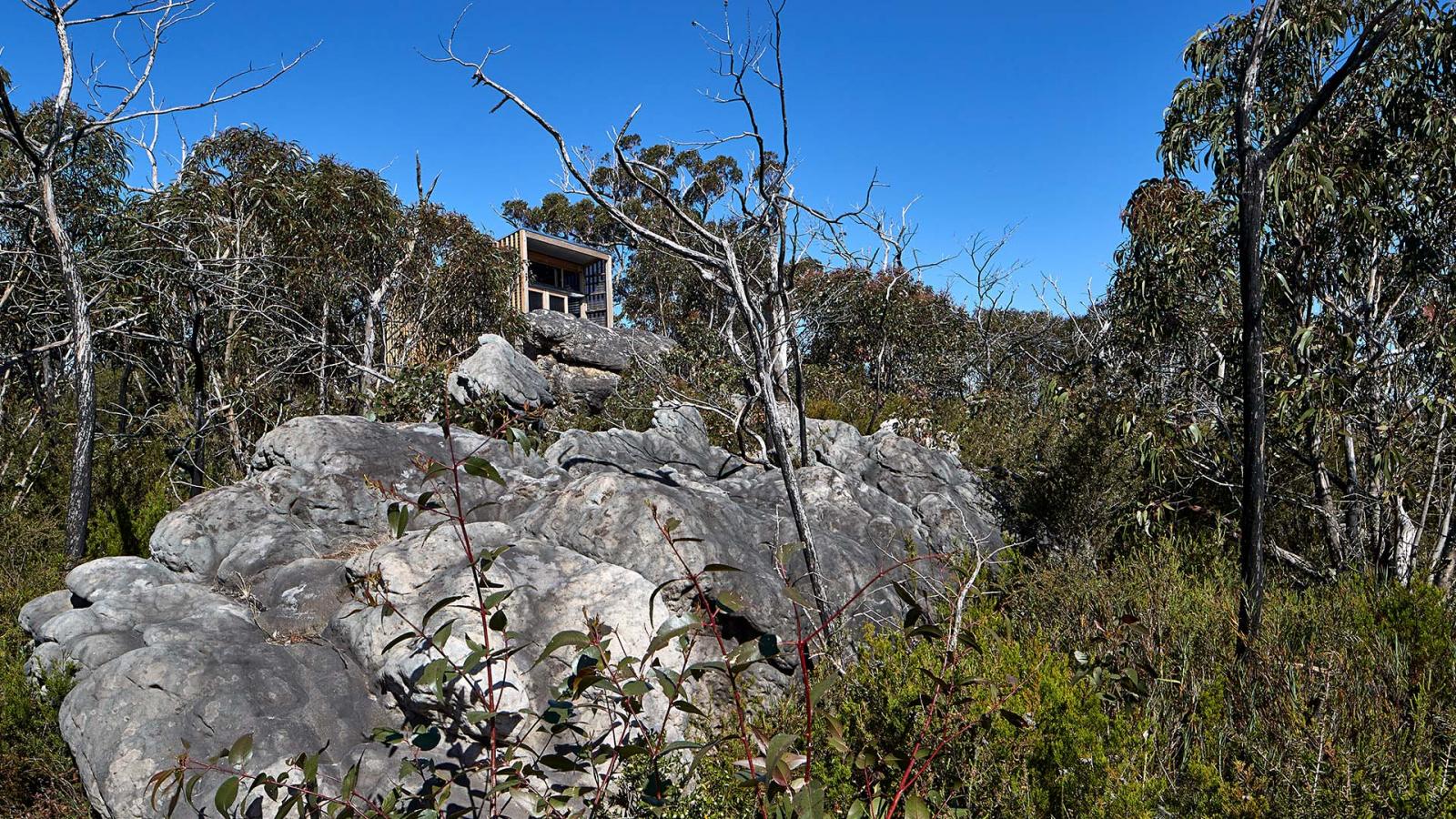 A small house with a wooden finish stands amidst dense trees and rocky terrain near the Grampians Peaks Trail in Gariwerd. The bright blue sky contrasts with the greenery and jagged rocks surrounding the structure. Tall bushes and bare branches populate the foreground, blending into the lush environment.