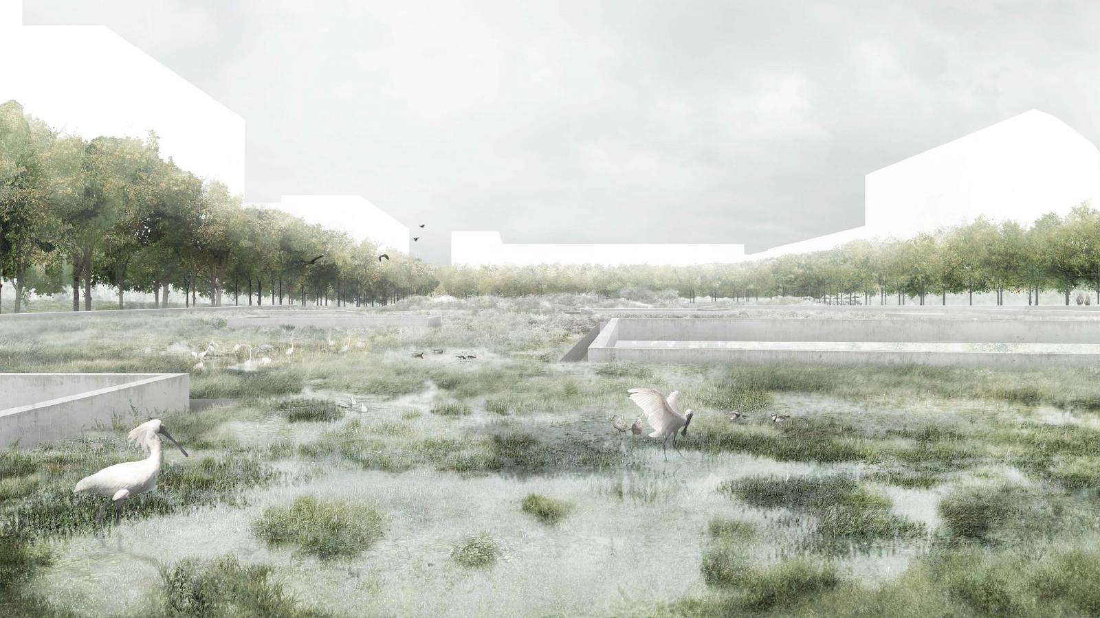 A serene landscape features a marshy, grassy area at Gunyama Park with various birds, including two white ones in the foreground. Trees line the background along with white geometric building shapes of the Aquatic Centre, under a cloudy sky.