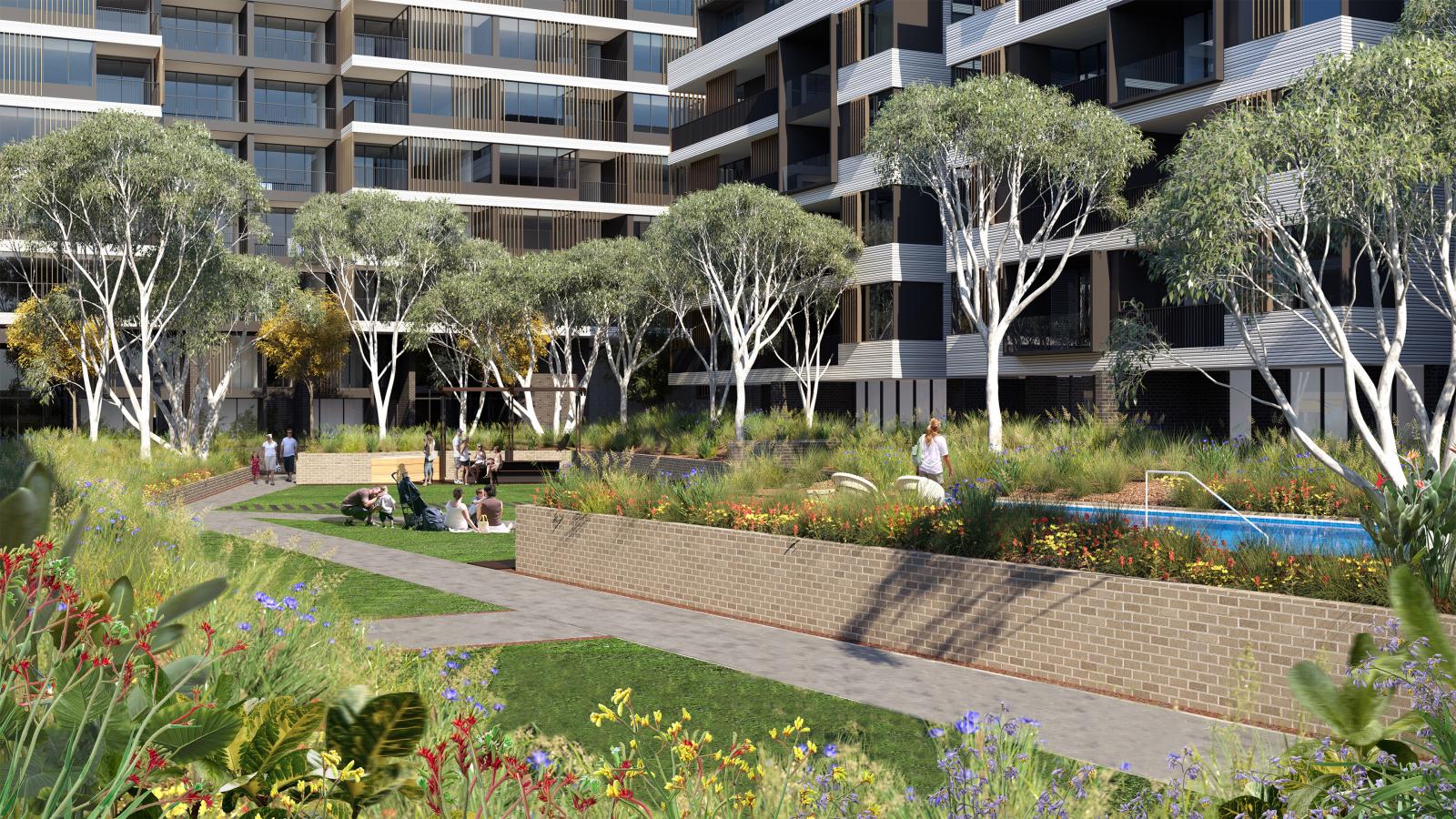 A modern apartment complex in Leichhardt features a courtyard with paved walkways, elevated garden beds, and green spaces. People enjoy the outdoors, sitting on the green grass and walking along paths. Tall trees provide shade amidst various colorful plants and flowers.