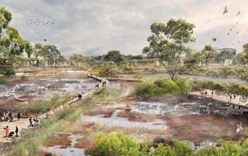 A scenic wetland reserve with lush greenery and diverse vegetation, nestled along Moonee Ponds Creek. People stroll along wooden walkways, mingling and enjoying the outdoors. Birds fly above and gather on the water, creating a serene and bustling natural environment under a cloudy sky.