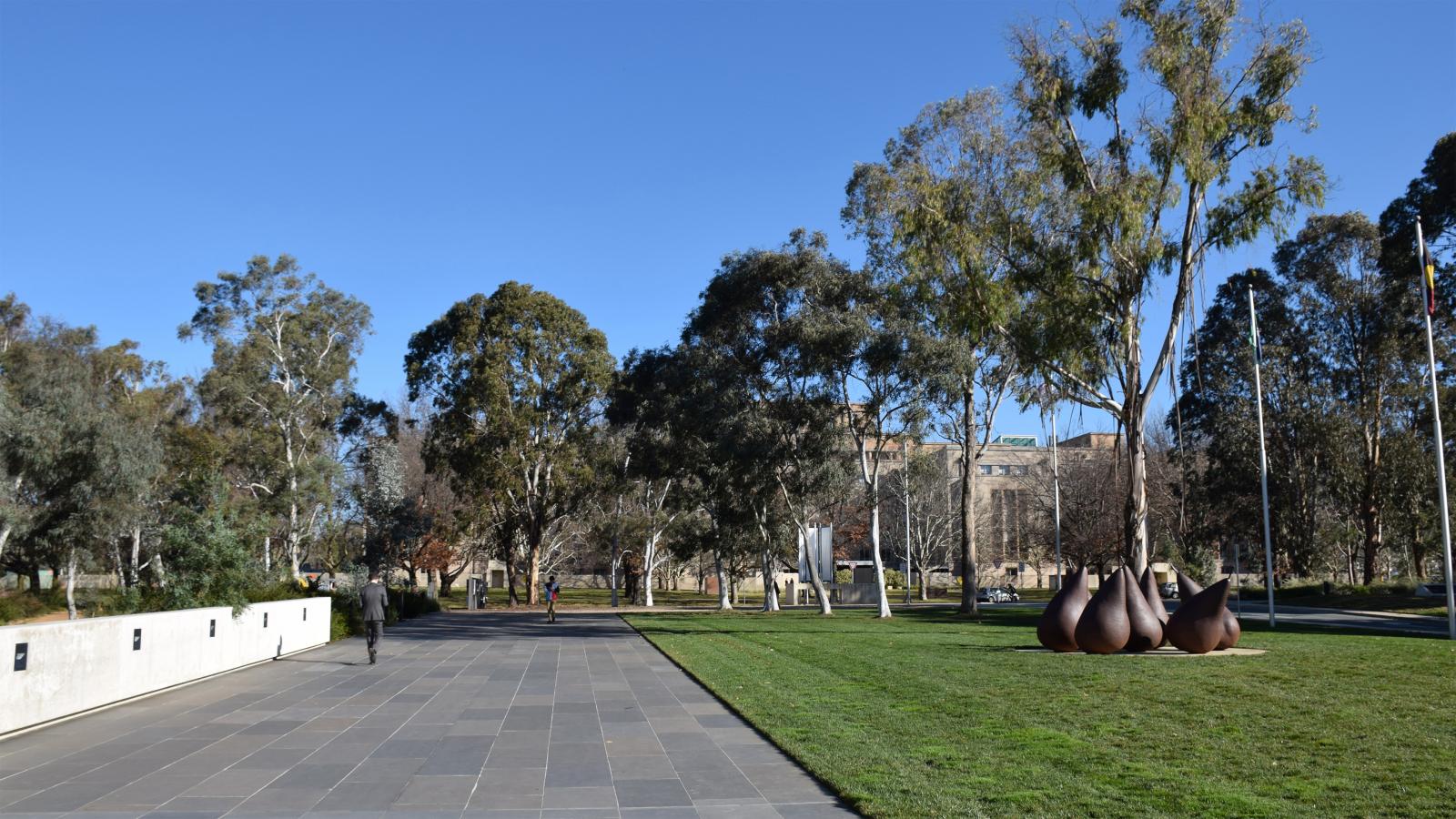 A paved pathway flanked by greenery leads into the Australian Garden at the NGA, with tall trees under a clear blue sky. Artwork resembling large teardrops stands on the grass to the right. A few buildings can be seen in the background amid the foliage.