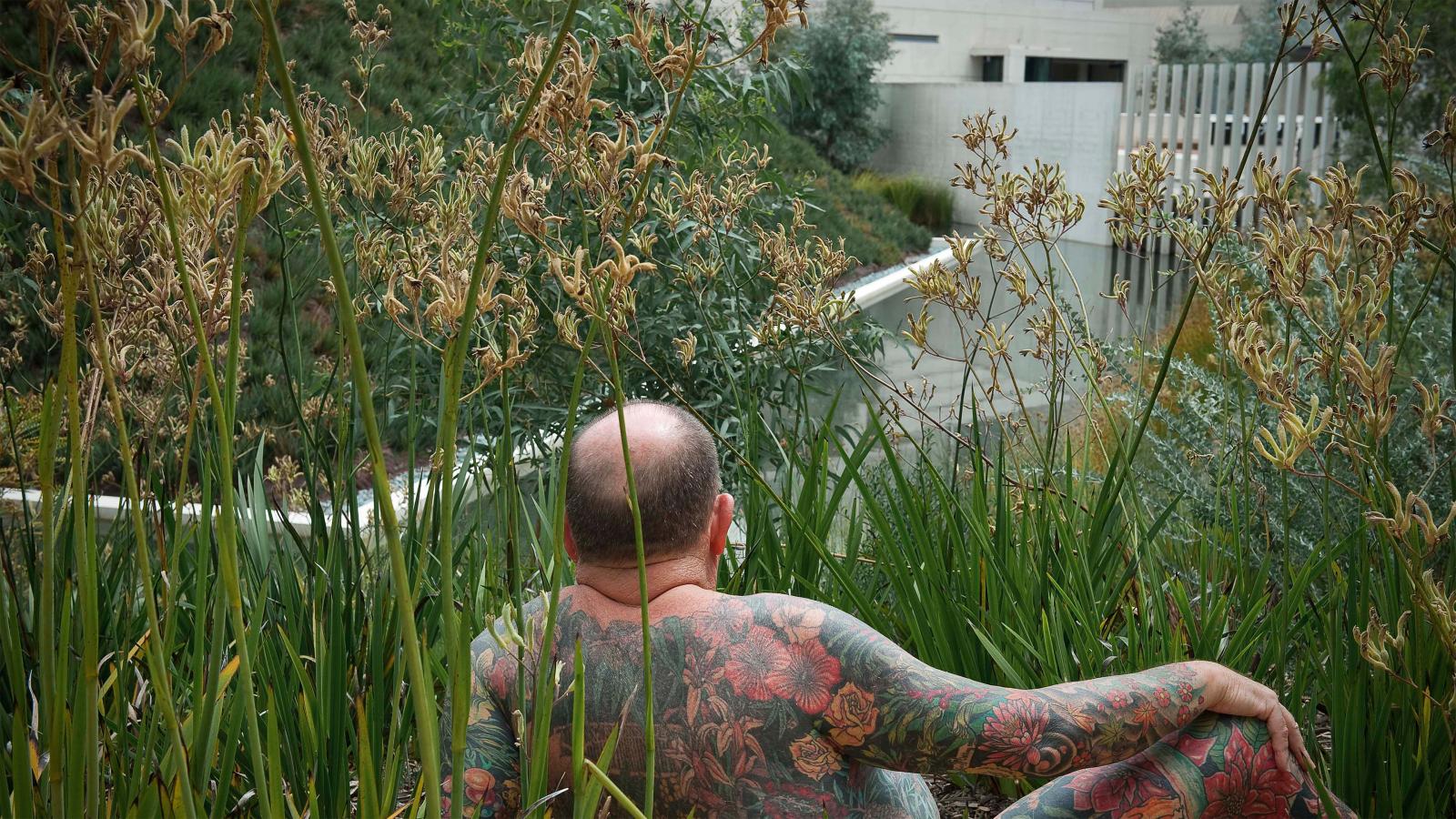 An Australian tattooed individual, seen from behind, lounges amidst the tall grasses and plants in a garden area. The intricate full-back tattoos prominently feature colorful floral designs. Urban architectural structures are visible in the background.