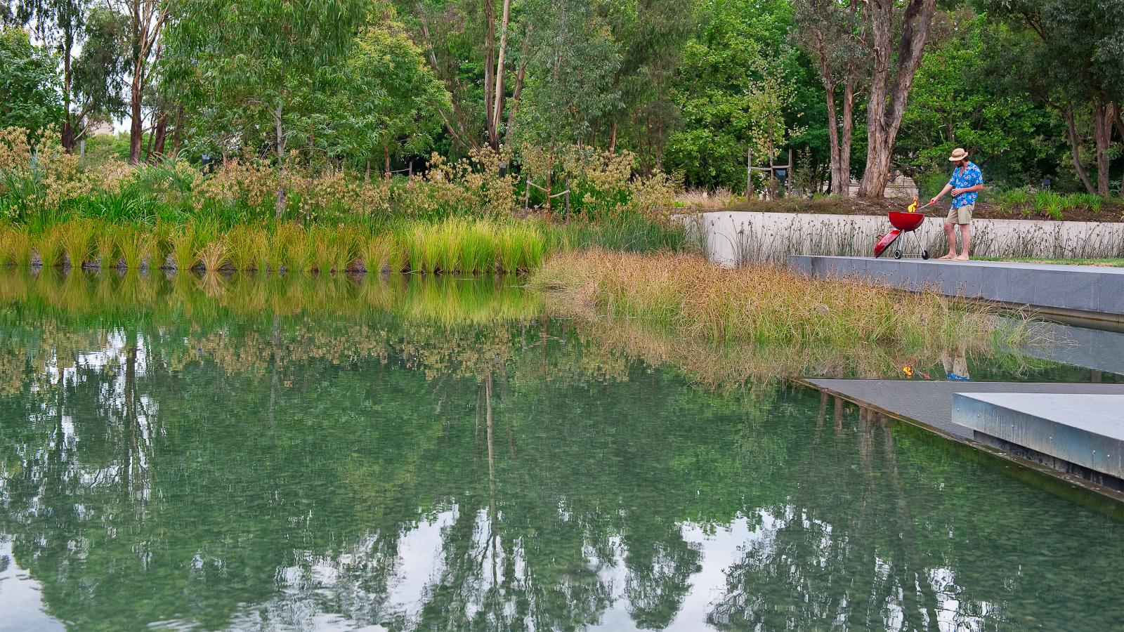 A person wearing a hat and blue shirt stands beside a young child in a red jacket, both leaning over a railing to look at a pond in the Australian Garden. The pond is surrounded by tall grasses and trees, which are reflected in the clear water. It is a serene, nature-filled scene.