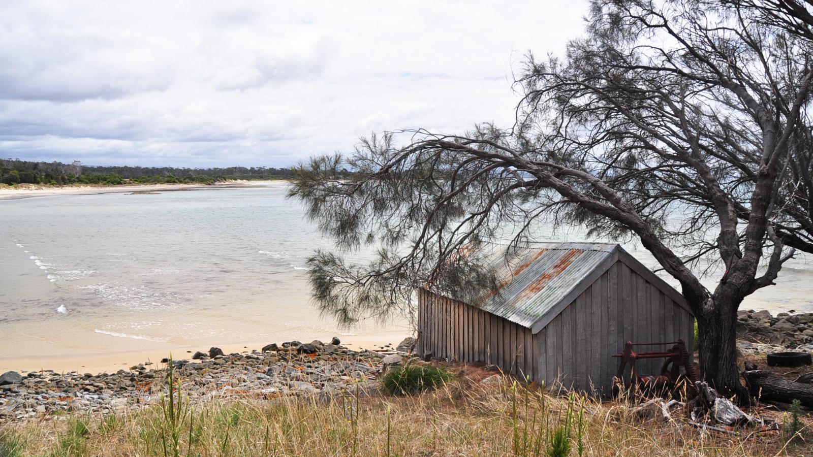 A weathered wooden shed with a rusted metal roof stands on the edge of a beach in Piermont, partially shaded by a large tree. This serene retreat offers views of the tranquil shoreline and a body of water in the background, with cloudy skies overhead and sparse grasses in the foreground.