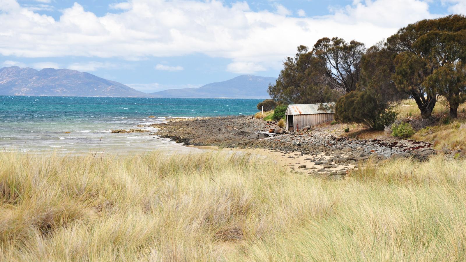 A serene coastal retreat in Piermont features a small, weathered shed among tall grass and scattered trees near the shoreline. The calm sea is a vibrant blue, with waves gently lapping against the rocky shore. Distant mountains are visible under a sky dotted with white clouds.