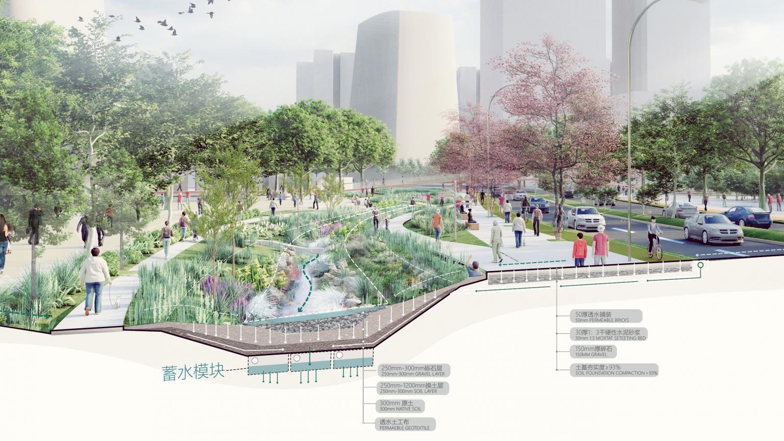 Illustration of an urban green space with people walking along paths, surrounded by trees, plants, and water features. The background shows a cityscape with tall buildings. Labels in Chinese highlight various features, such as a rainwater garden and infrastructure elements near Qingdao's Ruyi Lake.