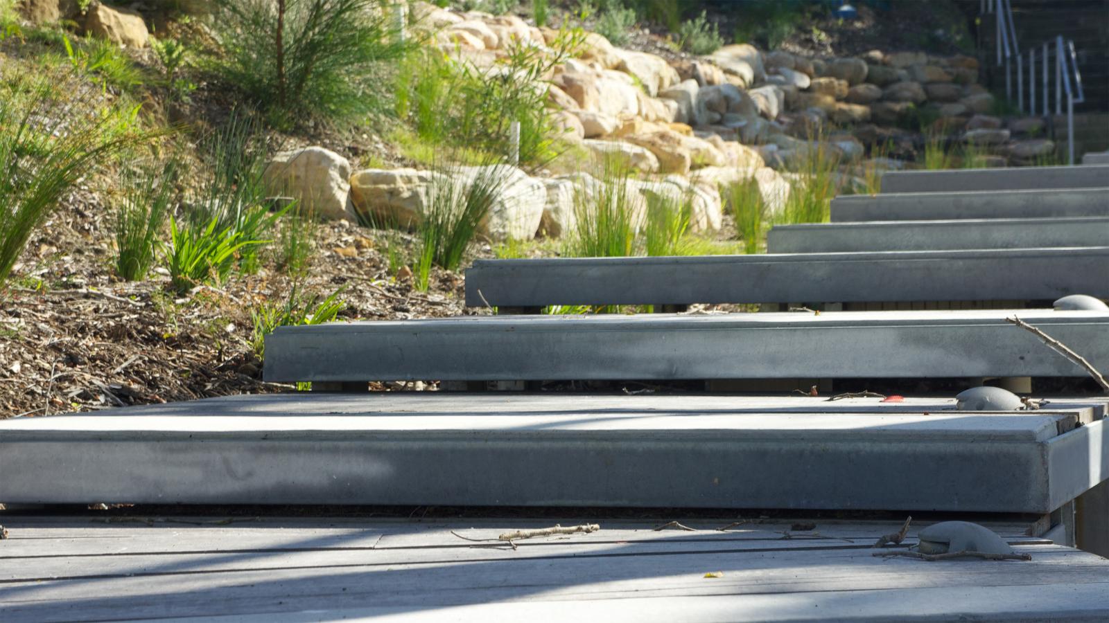 Image of a modern outdoor staircase with thick concrete steps surrounded by landscaped greenery, rocks, and plants. Sunlight casts shadows on the steps, highlighting the natural setting and design elements. The scene is calm and inviting, embracing the harmonious blend of nature and architecture in Manly's Spring Cove.