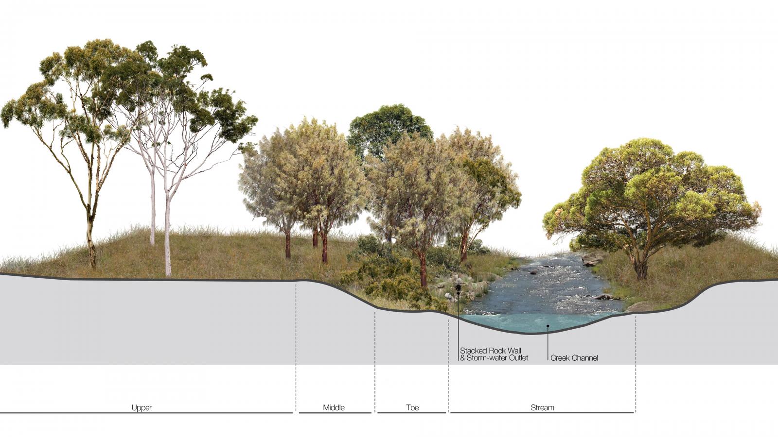 A cross-section illustration by Sydney Graphics of a grassy area transitioning into a stream. On the left, tall trees stand on the upper and middle parts of the slope. On the right, mature trees grow along the stream's banks, with stacked rock walls and a stormwater outlet identified nearby by Sydney Water.