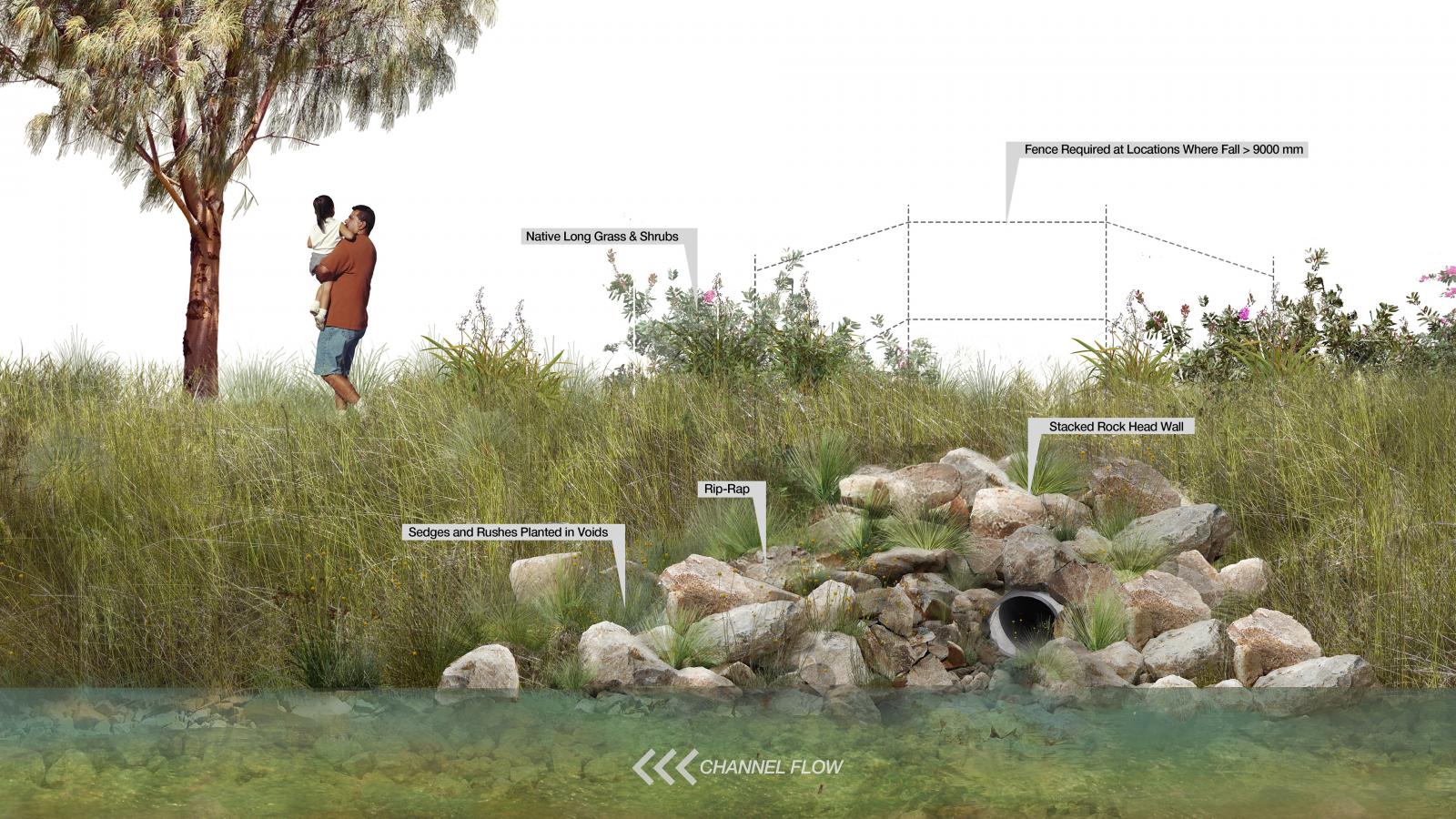 Illustration of a natural landscape showing a man holding a child near a rock-lined water channel. Various plants like Native Long Grass, Shrubs, Sedges, and Rushes surround them. There is a stacked rock head wall, rip-rap, and a fence indicated by dotted lines. Graphics inspired by Sydney's unique flora and water elements.