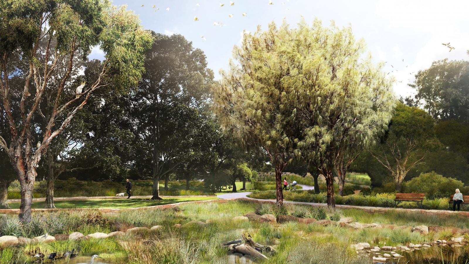 A scenic park landscape in Sydney features a walking path, trees, and a small pond. Birds can be seen flying in the clear sky and perched near the water. People are strolling along the path, with a bench placed by the trail's side. Bushes and tall grasses border the pond beautifully.