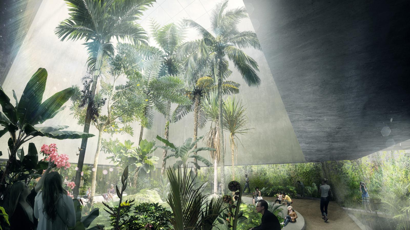 A spacious, sunlit indoor garden at the Ian Potter National Conservatory with tall palm trees and lush greenery. People are walking, sitting, and interacting, creating a lively atmosphere. The large windows in the background allow natural light to flood the space, enhancing the serene environment.