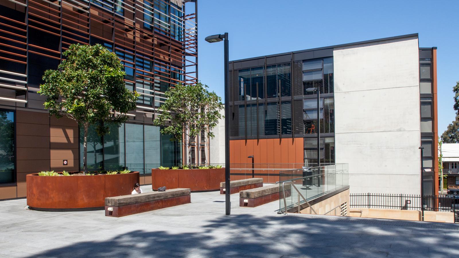 A modern urban plaza, situated at the University of Sydney's Business School, features raised planters with small trees, concrete benches, and a glass railing. The surrounding buildings showcase a mix of glass and metal facades, creating a contemporary architectural aesthetic under a clear blue sky.