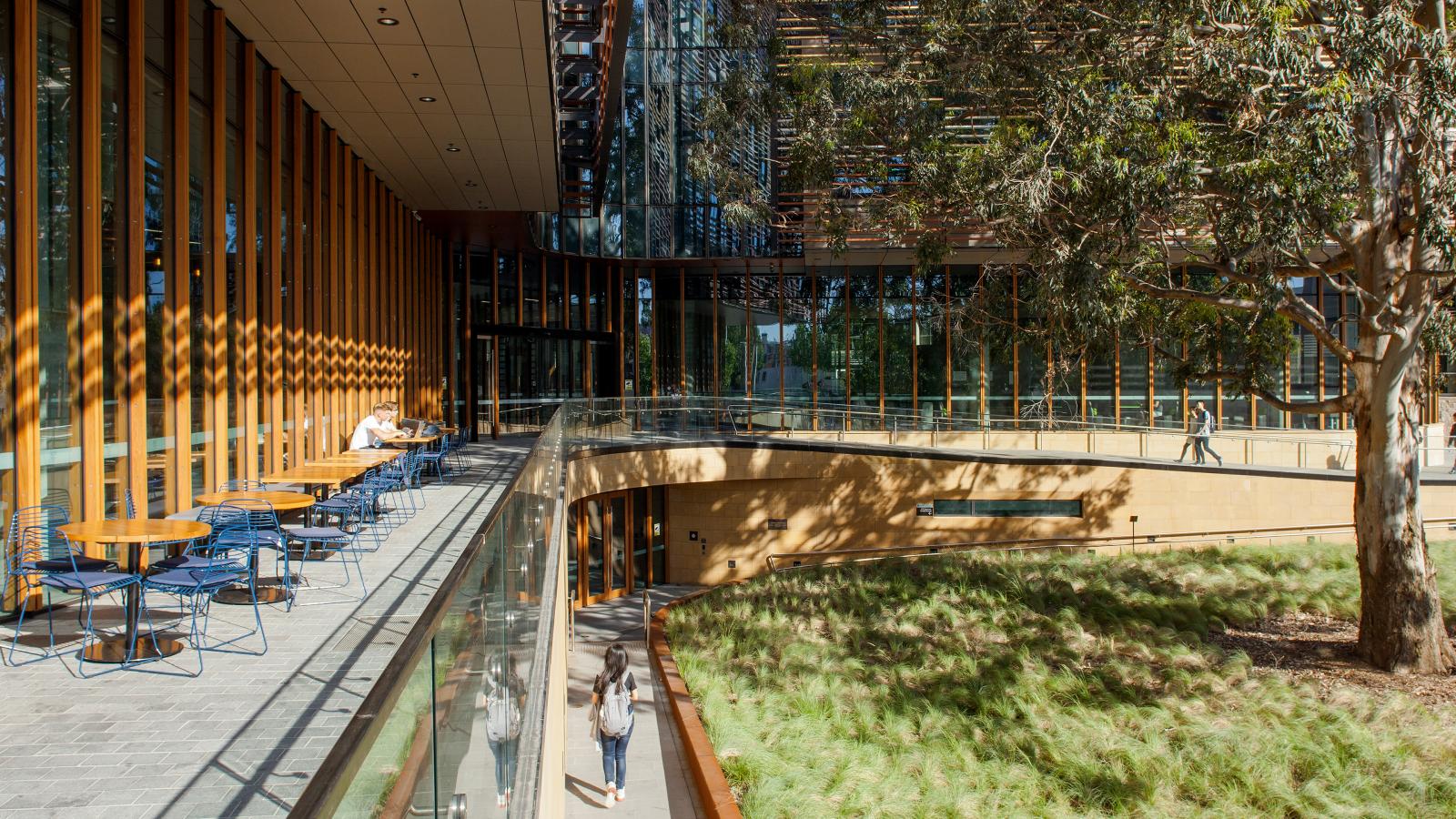 A bright courtyard with outdoor seating and tables under a covered walkway. Large glass windows line the Business School at the University of Sydney, allowing natural light to pour in. A winding path through landscaped greenery leads to another section of the building. A few people are seen walking and sitting.