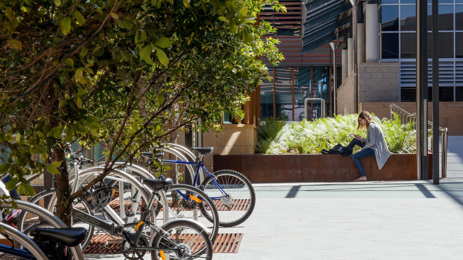 A young woman sits on a raised planter box, working on her laptop. Multiple bicycles are parked at bike racks on the left. The area is sunny with greenery, including trees and shrubs, surrounded by modern buildings with glass windows and metal accents—part of the University of Sydney's Business School.