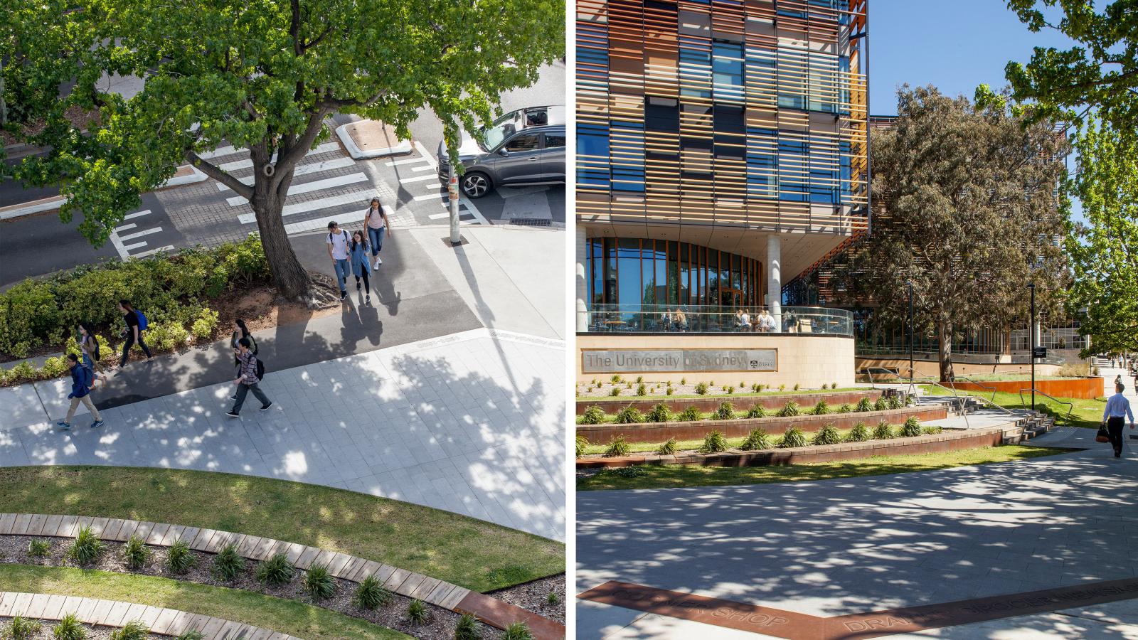 The image is split into two sections. The left side shows people walking on a sidewalk under the shade of a tree. The right side depicts a modern building with colorful panels and a "University" sign, landscaped with tiered greenery and a person walking nearby, hinting at the University of Sydney's Business School.