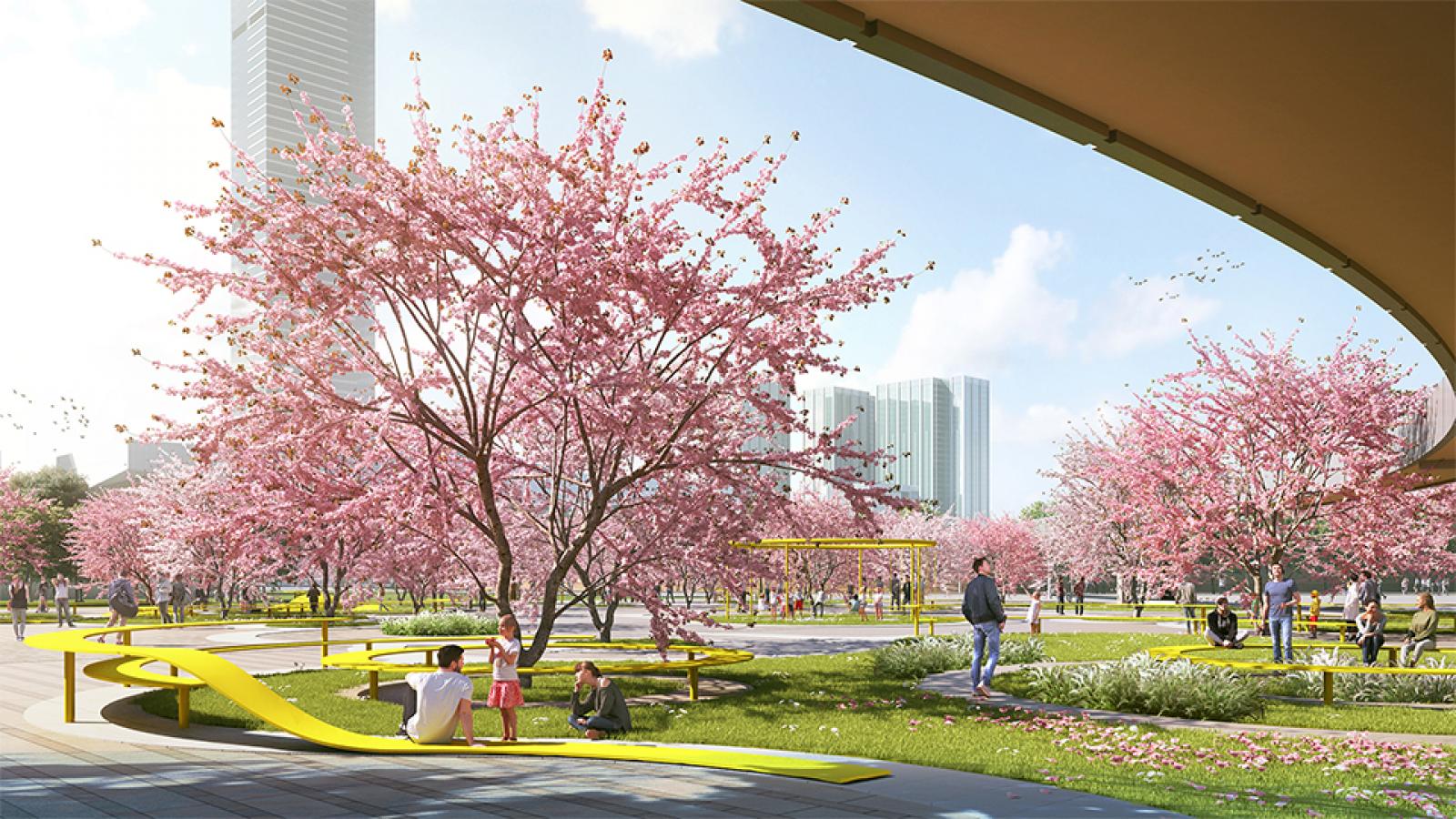 A vibrant park scene in Wuxi's Taihu Plaza featuring numerous pink cherry blossom trees in full bloom. People are seated and walking on paths, enjoying the scenery. Yellow benches and structures add pops of color, and tall city buildings are visible in the background under a clear sky.