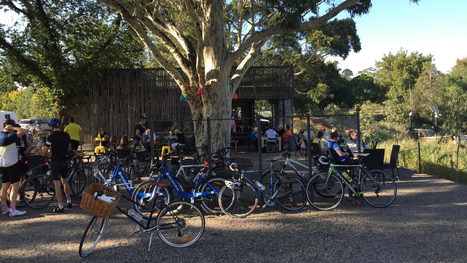 A lively outdoor café by the Yarra River is surrounded by a group of cyclists and numerous parked bicycles. People are conversing and enjoying drinks under the shade of a large tree. The café has a rustic wooden exterior and is set in a green, natural environment rich with biodiversity.