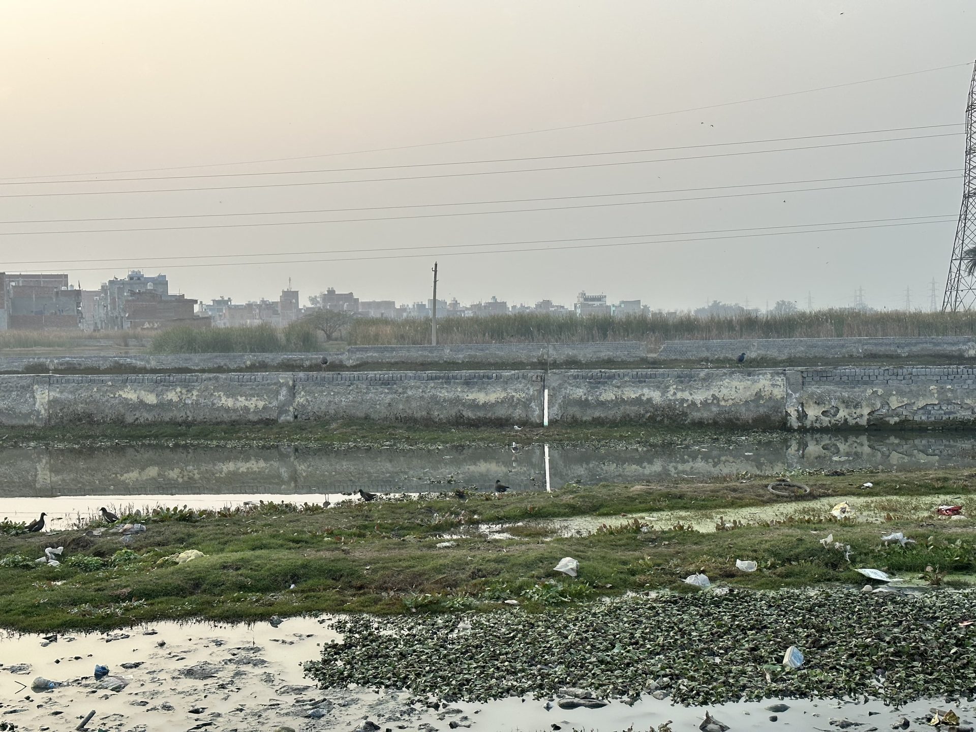 A murky canal surrounded by overgrown grass and scattered litter, with a faded brick wall lining its banks. The background features distant buildings under a hazy sky and a tall power line structure to the right, reminiscent of areas in need of attention under the Australia India Water Security Initiative (AIWASI).